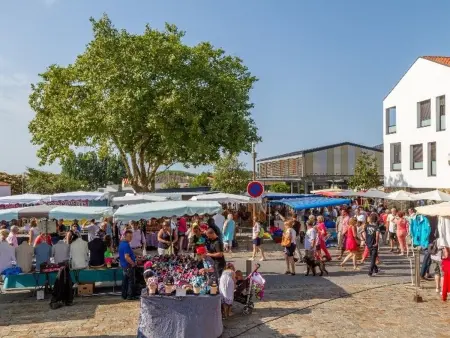 Maison de Pays avec Grand Jardin, Proche Centre et Plage - Photo 15