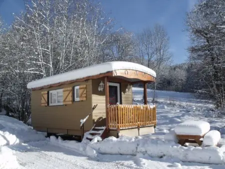 Roulotte cosy avec kitchenette, ruisseau apaisant et espace bien-être, nuit insolite à Ferdrupt - Photo 1
