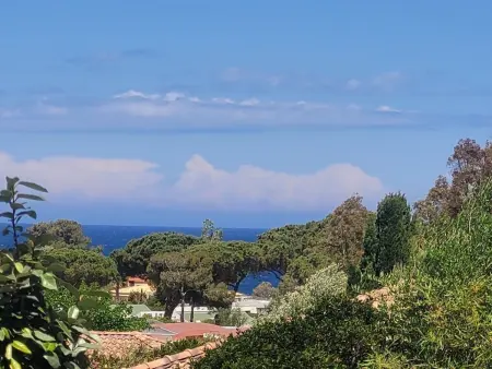 Appartement T2 avec Terrasse, Clim, WIFI - Proche Plage, Lumio - Photo 16