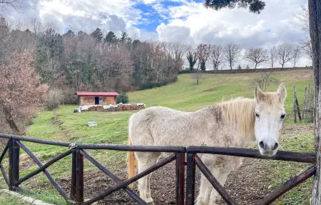 Maison 10 personnes à Bibbiena - Photo 7