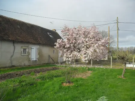 Gîte paisible avec cour privée, proche Parc Naturel de la Brenne, idéal pour séjour déconnecté - Photo 18