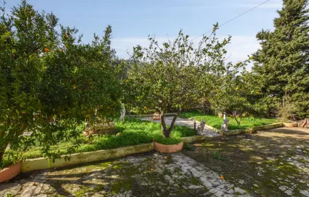 Maison 6 personnes à Altavilla Milicia - Photo 6