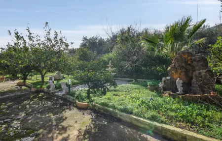 Maison 6 personnes à Altavilla Milicia - Photo 15