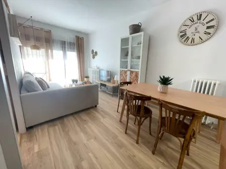 Appartement montagnard rénové, 1 chambre et canapé-lit, idéal nature et sports, centre de Villanúa - Photo 14