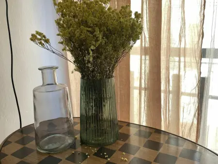 Appartement montagnard rénové, 1 chambre et canapé-lit, idéal nature et sports, centre de Villanúa - Photo 18