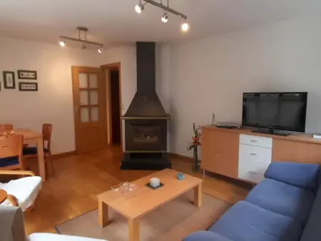 Appartement confortable à 10 min des pistes de ski Astun et Candanchu - Photo 3