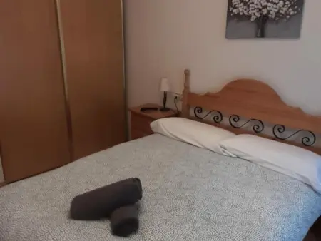 Appartement confortable à 10 min des pistes de ski Astun et Candanchu - Photo 8