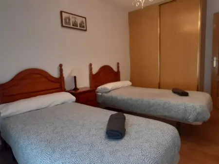 Appartement confortable à 10 min des pistes de ski Astun et Candanchu - Photo 10