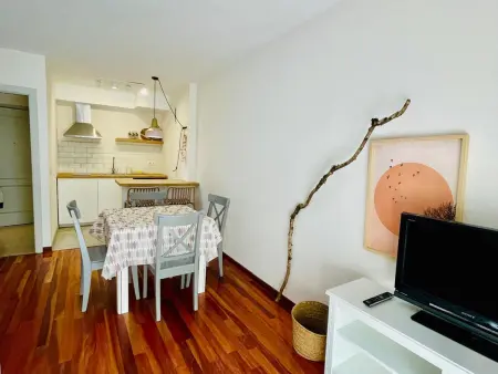 Appartement moderne à Canfranc avec terrasse, Appartement 4 personnes à Canfranc - Photo 1
