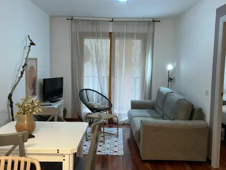 Appartement moderne à Canfranc avec terrasse, Appartement 4 personnes à Canfranc - Photo 4