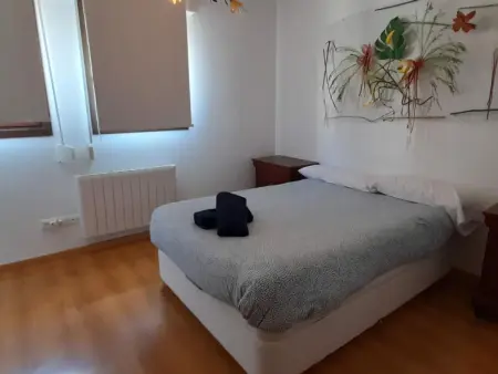 Maison en Pierre, 6 Pers, Terrasse et BBQ, 5 min de Jaca, 15 min des Pistes - Photo 11