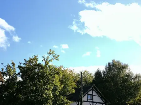 Maison de campagne 3 chambres avec jardin et animaux acceptés à Saires-la-Verrerie - Photo 28