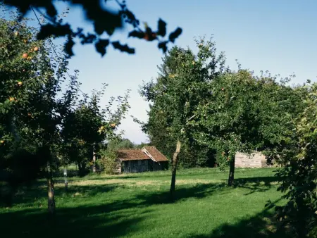 Maison de campagne 3 chambres avec jardin et animaux acceptés à Saires-la-Verrerie - Photo 30