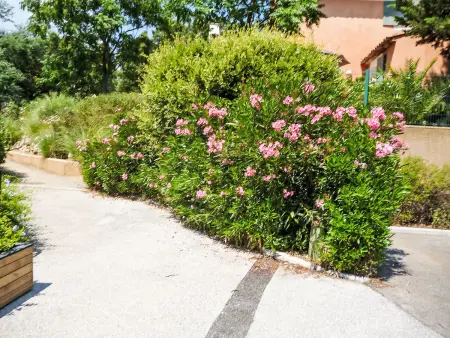 Les Restanques Golfe Saint Tropez, Appartement 4 personnes à Grimaud - Photo 18