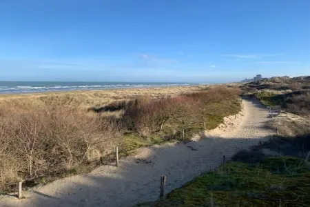 PLAZA G/2634, Appartement à Oostduinkerke Vue sur Mer - Photo 17