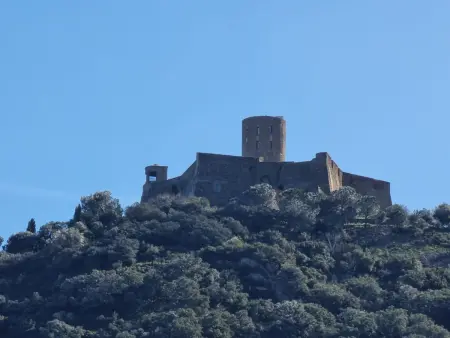Charmant T2 sécurisé à Collioure avec parking proche de la plage - Photo 18