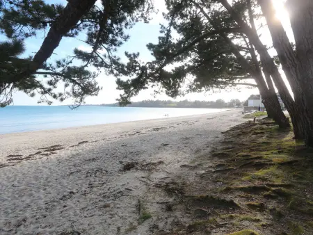 Appartement rénové à Fouesnant, 4 pers. à 50m de la plage de Cap Coz, parking privé - Photo 11