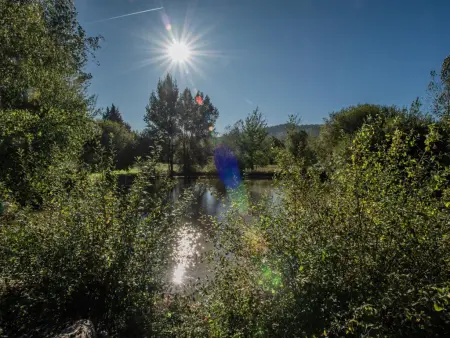 Lac Bleu nr 19, Gite dans petit parc de vacances avec piscine - Photo 36