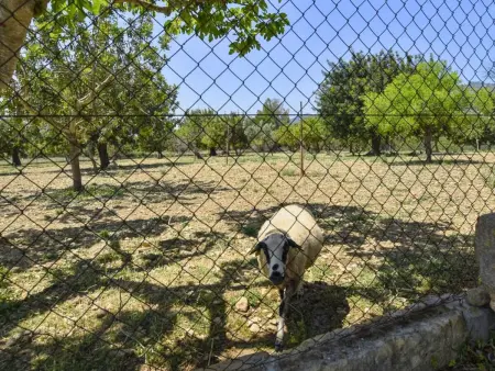 Tabou, Maison 6 personnes à Selva - Photo 22