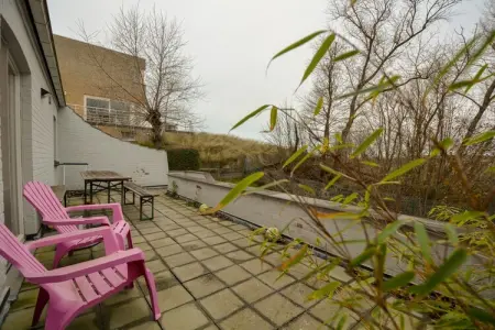 VILLA CO/VILLA CO, Villa près de la côte belge jardin - Photo 5