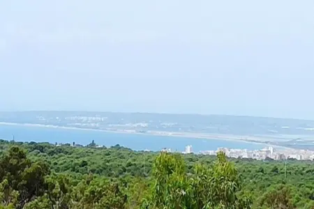 Casa Dara 2, Villa relaxante près de Carabassi - Photo 35