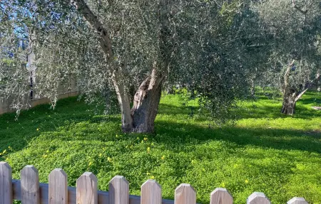 Maison 22 personnes à Vieste - Photo 5