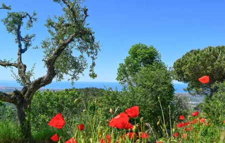 Maison 7 personnes à Camaiore - Photo 22