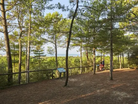 Maison calme proche plage, animaux admis, parking - Photo 20