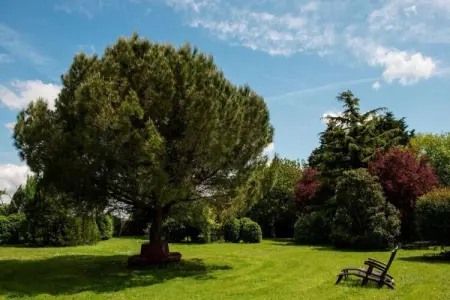 Villa Ravel, Villa à Nalliers avec piscine privée - Photo 30