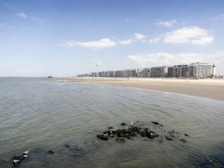 Centrally located  Graaf Jan, Appartement 4 personnes à Blankenberge - Photo 22