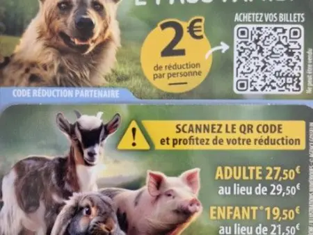 Maison de charme en bord du Loir, 6-8 pers, proche Zoo de La Flèche, piscine à venir, parking inclus - Photo 34