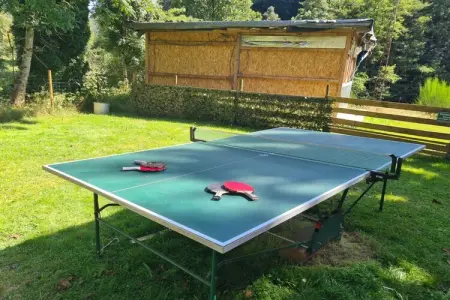 Ferienhaus mit eigener Bar am Bach in Saint Quirin, Retraite nature en Lorraine - Photo 9