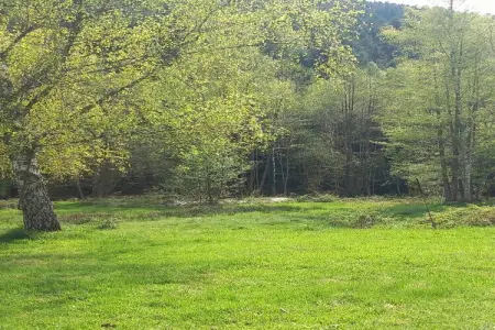 Ferienhaus mit eigener Bar am Bach in Saint Quirin, Retraite nature en Lorraine - Photo 24