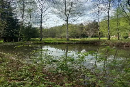 Ferienhaus mit eigener Bar am Bach in Saint Quirin, Retraite nature en Lorraine - Photo 25