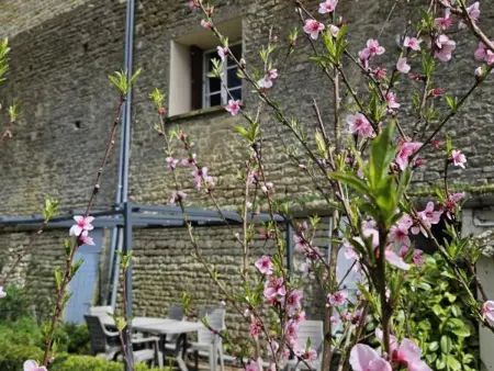 Gîte tout inclus avec jardin privatif, proche centre Richelieu et châteaux de la Loire - Photo 35