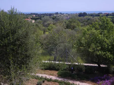Luxueuse finca avec piscine & jardin près des plages de Cala Millor et Cala Bona - Photo 25