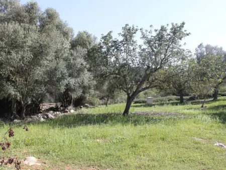 Luxueuse finca avec piscine & jardin près des plages de Cala Millor et Cala Bona - Photo 26