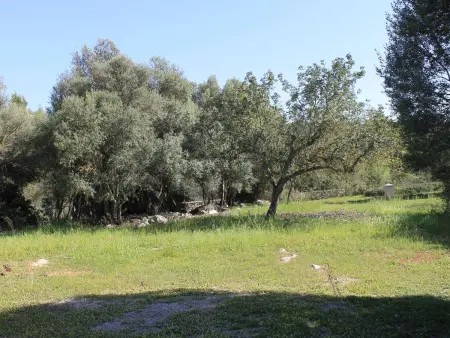Luxueuse finca avec piscine & jardin près des plages de Cala Millor et Cala Bona - Photo 33