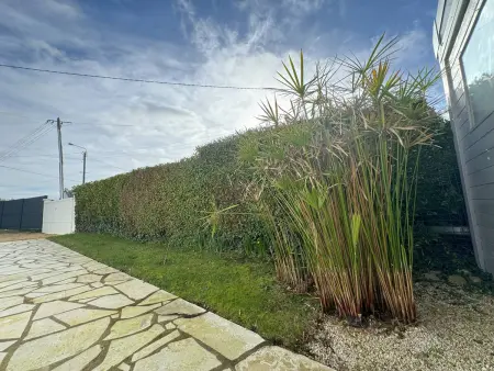 Maison avec WIFI, véranda, à 320m de la mer et à 500m de la plage, à Trégastel - Photo 14