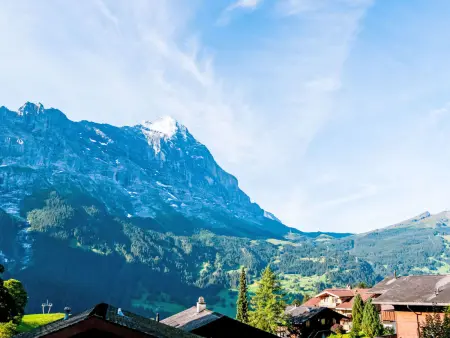 Chalet Bienli Oben, Appartement 6 personnes à Grindelwald - Photo 5