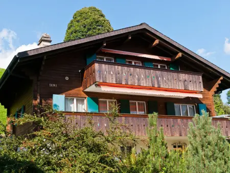 Chalet Bienli Oben, Appartement 6 personnes à Grindelwald - Photo 6