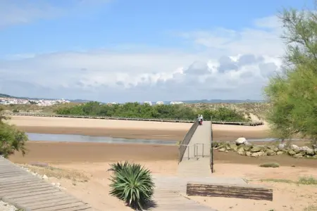 Jardins de Salir, Maison près de Plage São Martinho - Photo 35