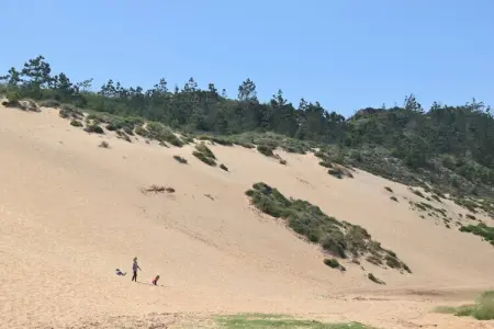 Jardins de Salir, Maison près de Plage São Martinho - Photo 36