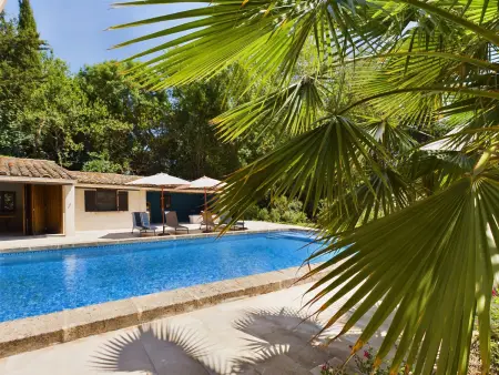 Mas rénové à Mouriès avec piscine, 6 chambres, terrasses et pool houses, en pleine nature provençale. - Photo 4