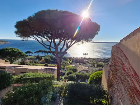 Triplex 4 pièces, vue mer, piscine, parking, animaux admis à Sainte-Maxime - Photo 2