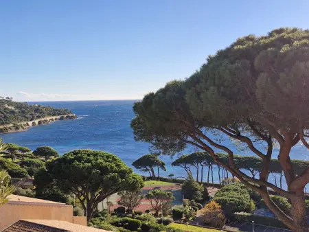 Triplex 4 pièces, vue mer, piscine, parking, animaux admis à Sainte-Maxime - Photo 17