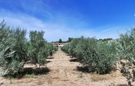 Le Temps Perdu, Maison 8 personnes à Maussane Les Alpilles - Photo 11