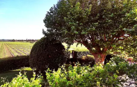 Le Mas De La Vigne, Maison 6 personnes à Violes - Photo 14