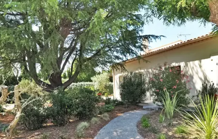 Residence Du Cedre, Maison 10 personnes à Saint Rémy De Provence - Photo 10