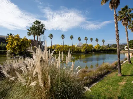 Les Cascades du Lac, Appartement 6 personnes à Cannes - Photo 30